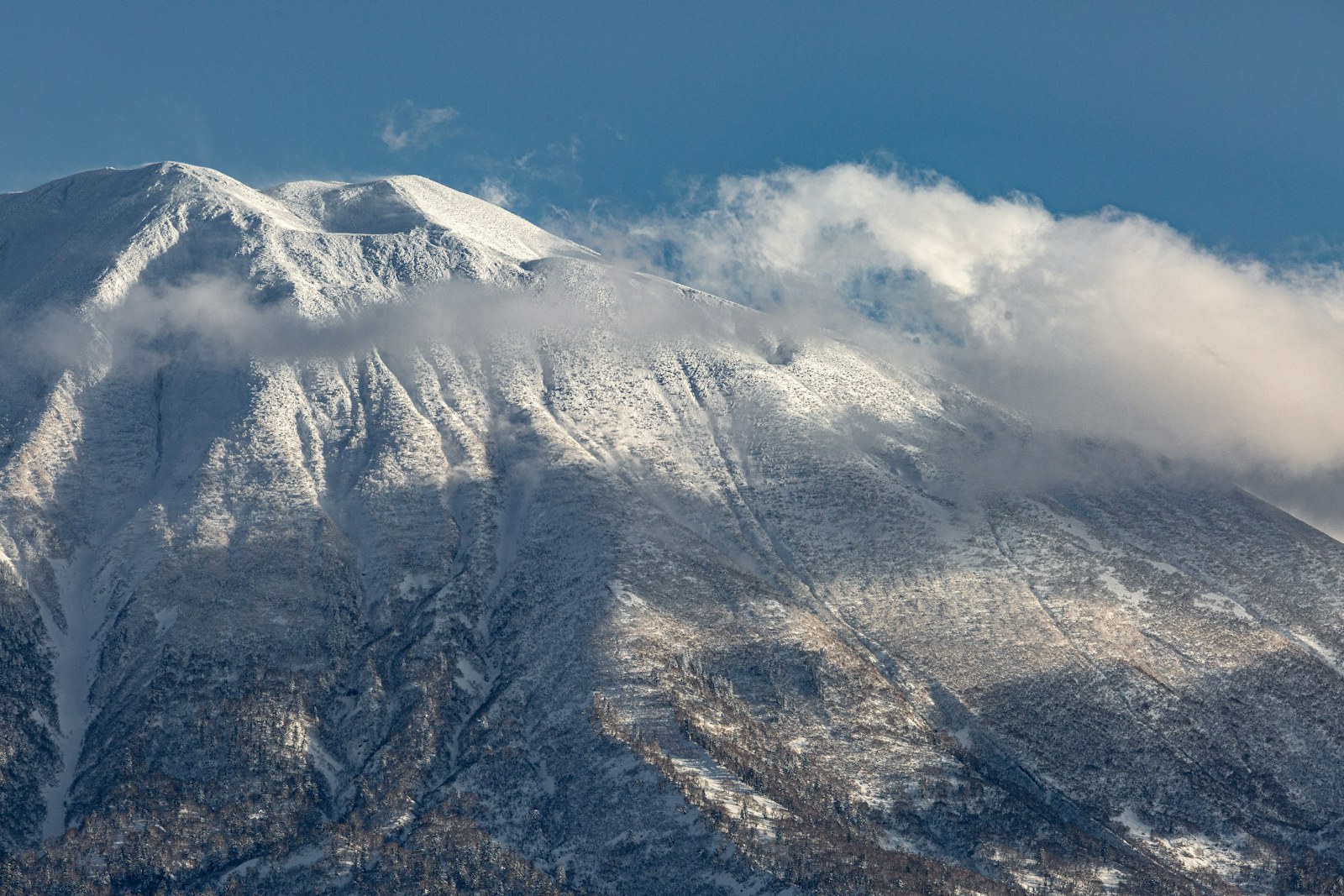 Niseko · Marek Okon